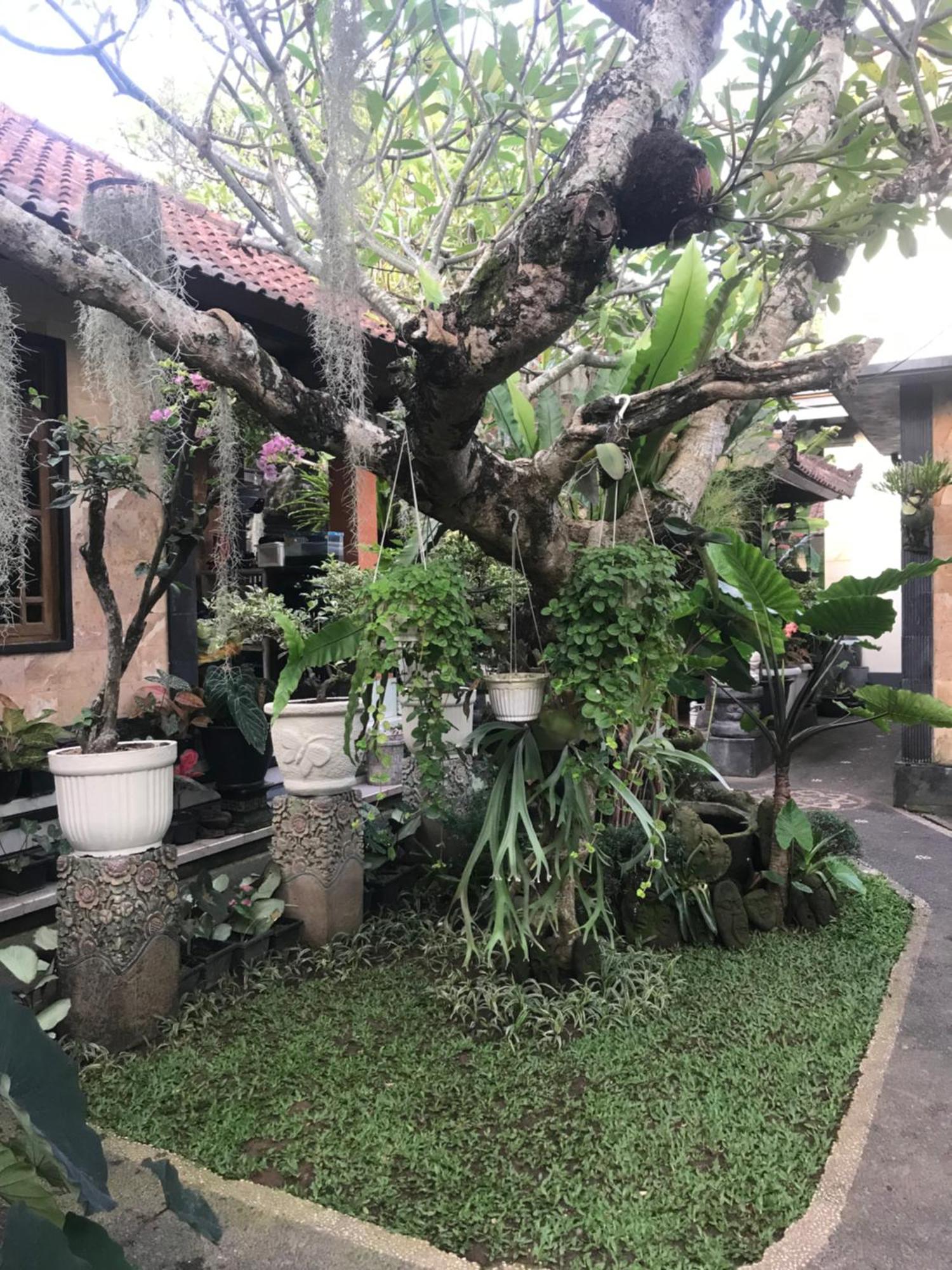 Gus Arditya Homestay Убуд Екстер'єр фото