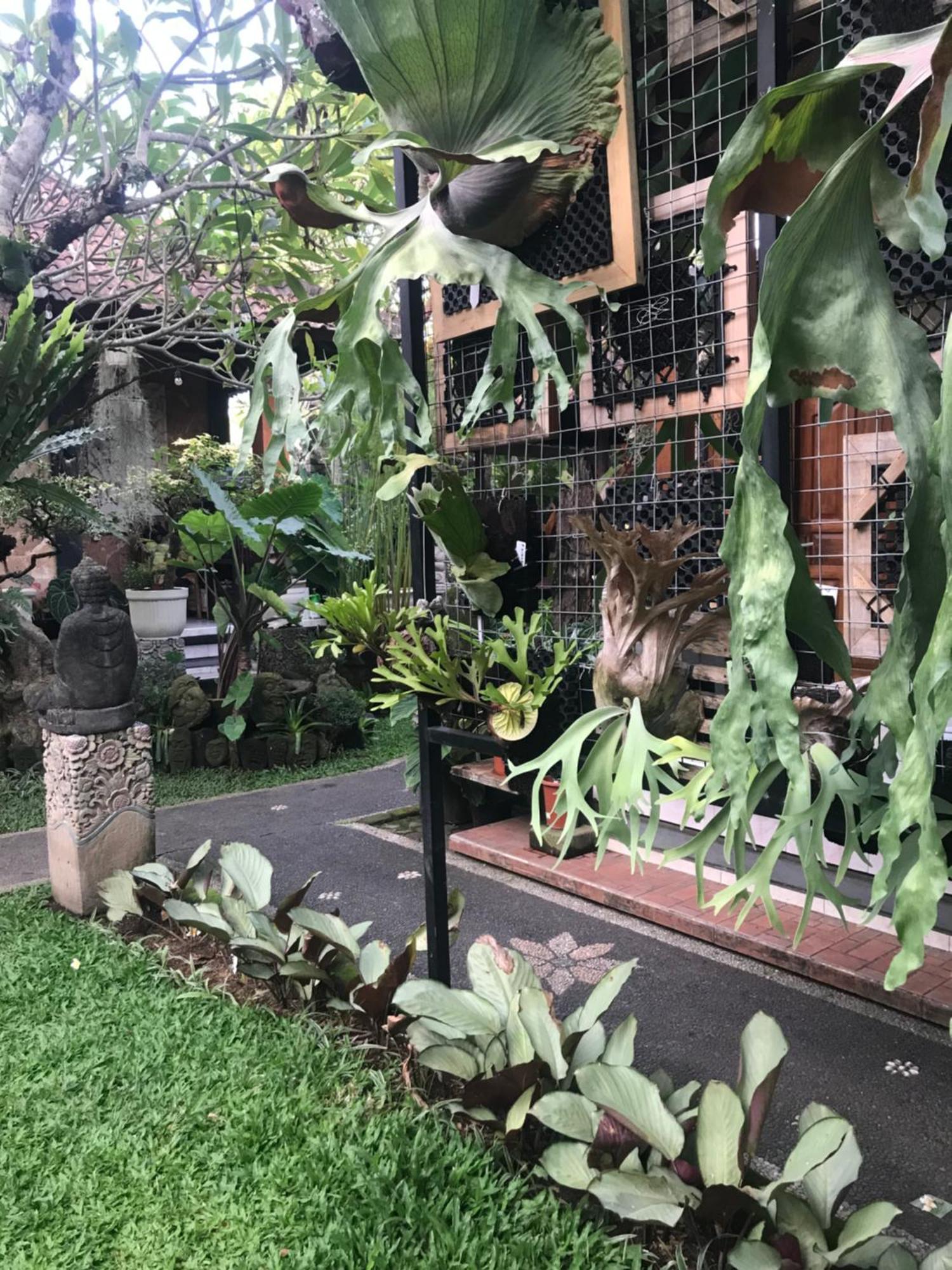 Gus Arditya Homestay Убуд Екстер'єр фото