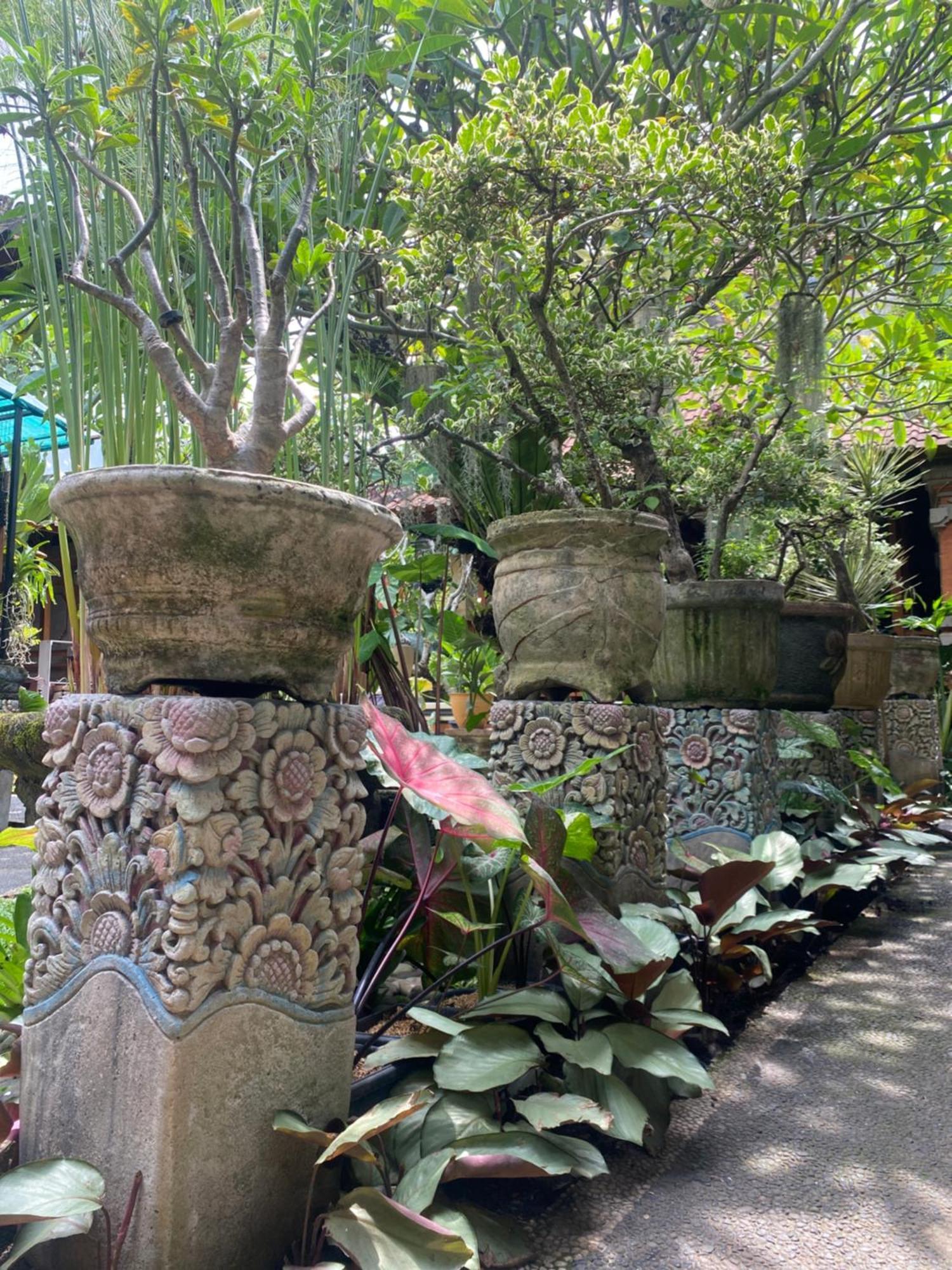 Gus Arditya Homestay Убуд Екстер'єр фото