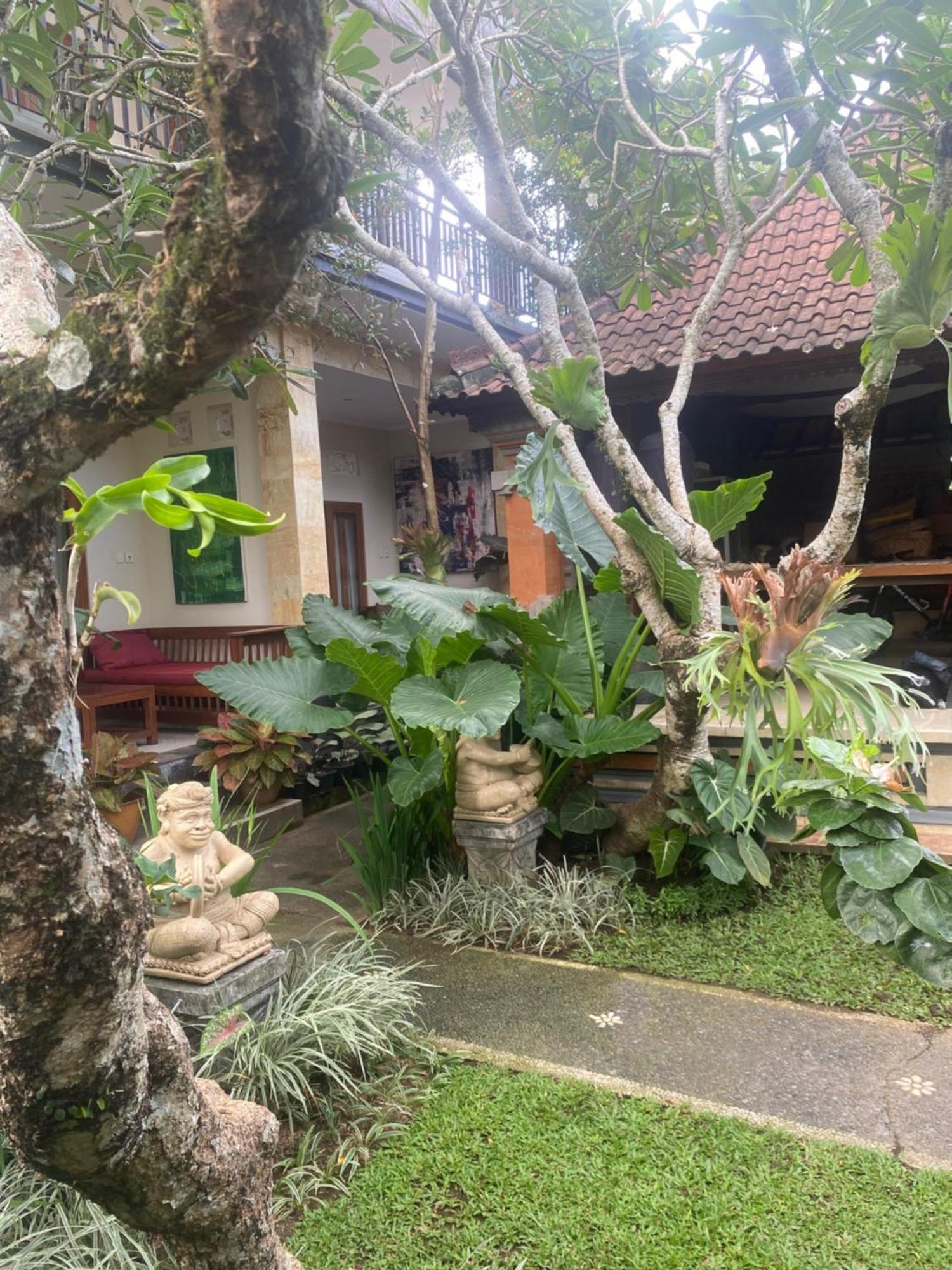 Gus Arditya Homestay Убуд Екстер'єр фото